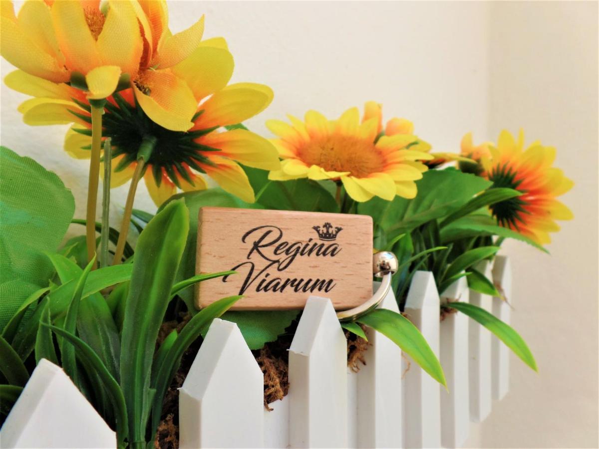 Regina Viarum Apartment, Historic City Centre Brindisi Eksteriør billede